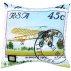Cushion-Cover-Plane-Bleriot.jpg