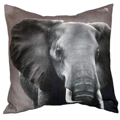 Elephant.jpg Elephant.jpg