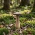 Wood-Mushroom flat head